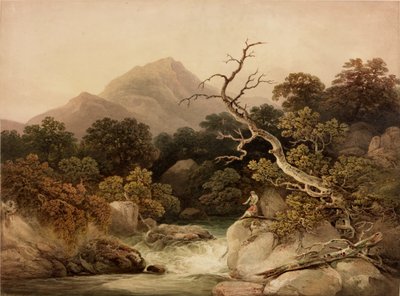 Ben Venue von Francis Nicholson